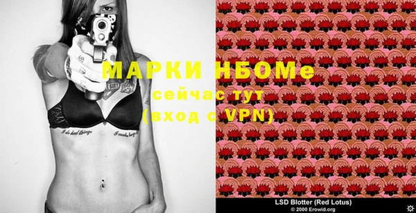 ECSTASY Строитель