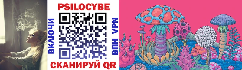 Псилоцибиновые грибы Magic Shrooms  где продают наркотики  Высоцк 